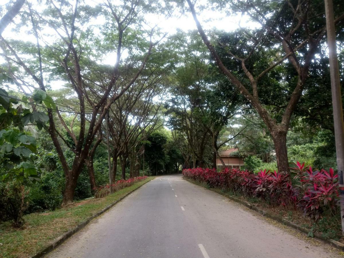 Janaview Taiping Hotel Esterno foto