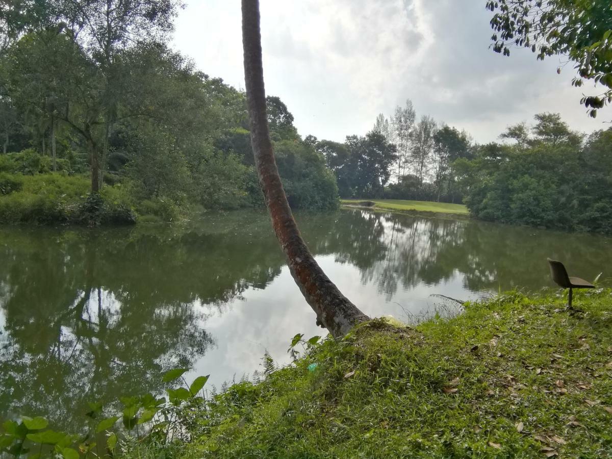 Janaview Taiping Hotel Esterno foto